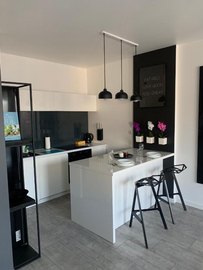 Ekskluzywny Penthouse Z Ogrodem W Centrum Lodzi Екстер'єр фото