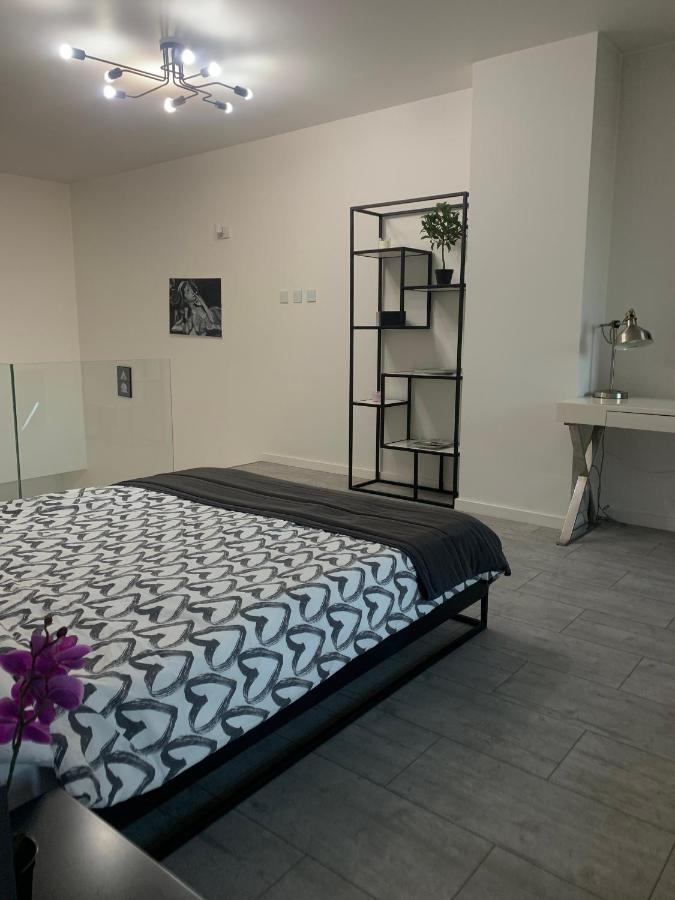 Ekskluzywny Penthouse Z Ogrodem W Centrum Lodzi Екстер'єр фото