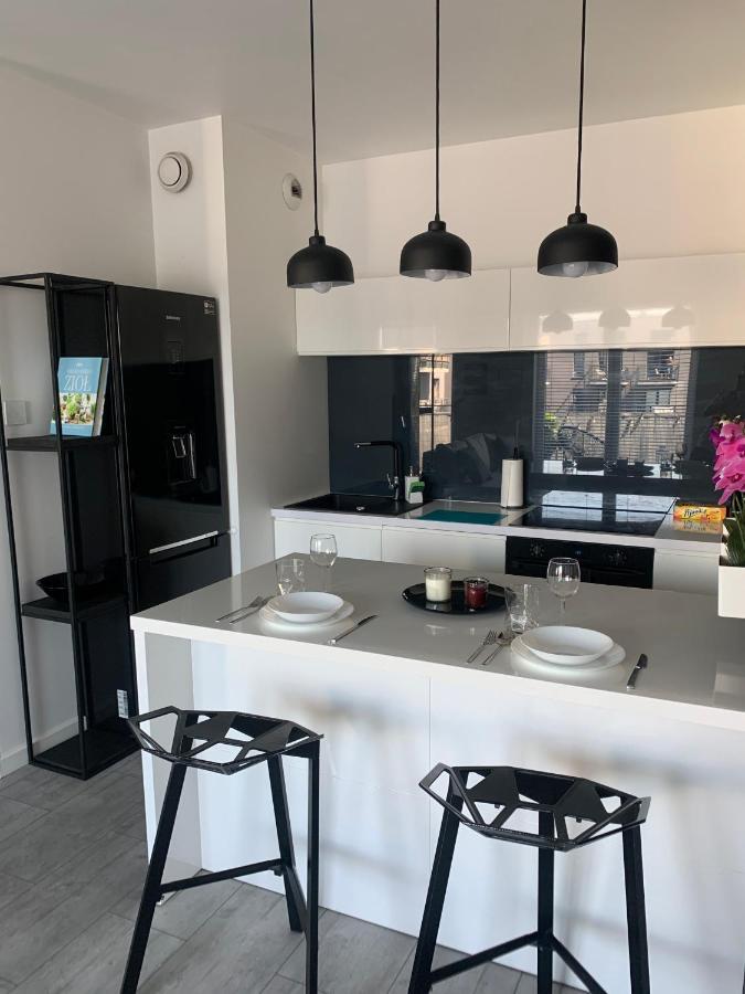 Ekskluzywny Penthouse Z Ogrodem W Centrum Lodzi Екстер'єр фото